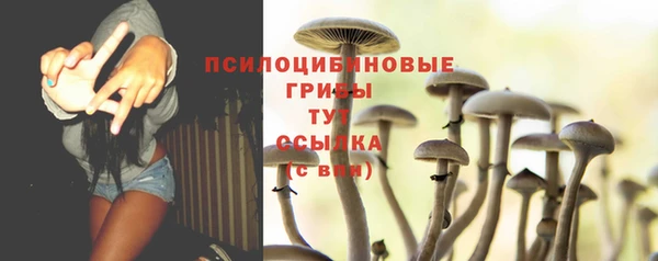 амф Надым
